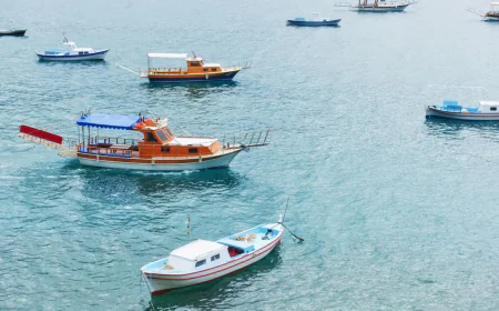 Boat Hire Near Shark Bay: Freedom on the Water