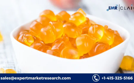 What is driving the rapid growth of the India Vitamin Gummies Market?