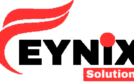 Empowering Digital Growth with Feynix Solution