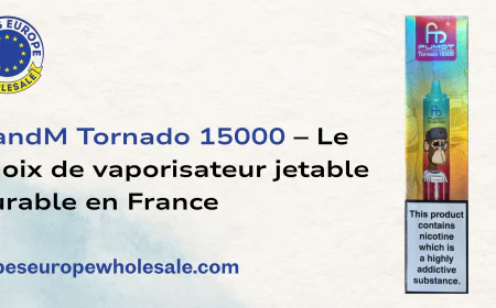 RandM Tornado 15000 – Le choix de vaporisateur jetable durable en France