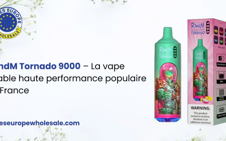 RandM Tornado 9000 – La vape jetable haute performance populaire en France