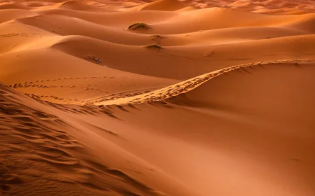 Exploring the Excitement of Circuits Desert Foum Zguid