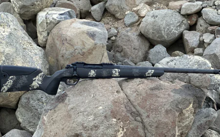 Where to Buy Gunwerks Nexus in Boise and Who Are the Top Gun Dealers?