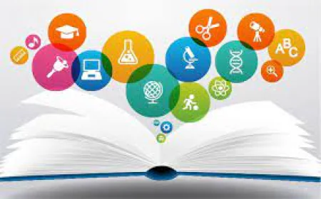 Understanding NURS FPX 4905: Evidence-Based Nursing Practice