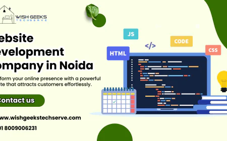 Website Development Company in Noida Creating High-Quality Websites for Fast Business Growth | Wish Geeks Techserve