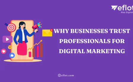 Why Businesses Trust Professionals for Digital Marketing