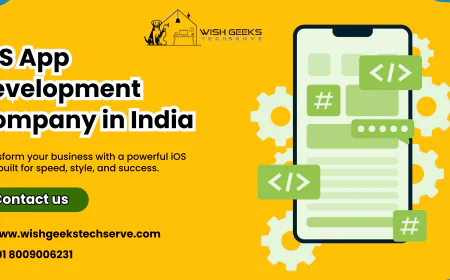 iOS App Development Company in India Delivering High-Quality Apps for Modern Business Success | Wish Geeks Techserve