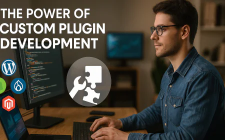 Maximizing CMS Potential with Custom Plugin Development.