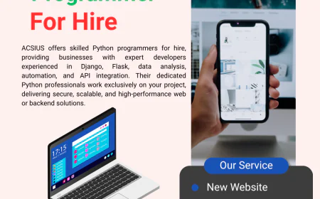 How to Find the Right Python Programmer for Hire
