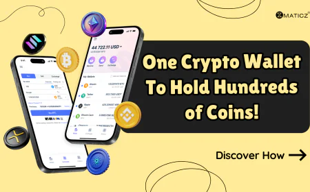 How Does a Single Crypto Wallet Handle Multiple Cryptocurrencies?