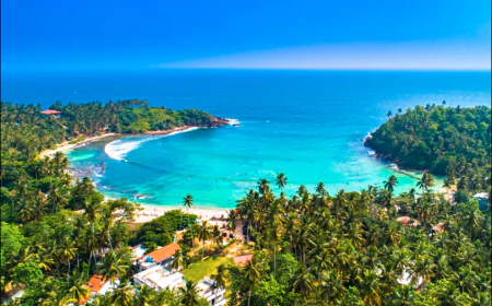 Sri Lanka Holidays for Couples: Romantic Escapes in Tropical Bliss