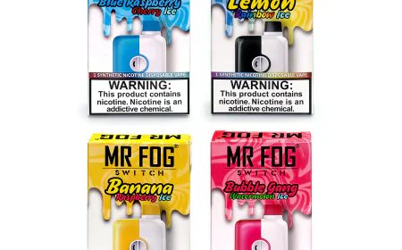 Explore Mr Fog Vape – Top Flavors & Vapes of 2025