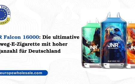 JNR Falcon 16000: Die ultimative Einweg-E-Zigarette mit hoher Zuganzahl für Deutschland