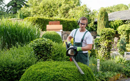 The Best Lawn Care Companies in Vancouver