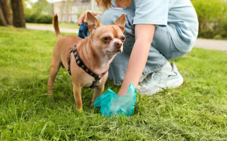 Poop Troopers – Keeping Your Yard Clean with Hooper Pooper Scooper Services