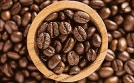 Authentic Specialty Coffee - A Guide to Genuine Quality