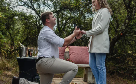 Traits of the best Midlands holiday accommodation for a memorable experience