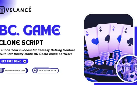 Accelerate Your Crypto Casino Business with Powerful BC.Game Clone Script