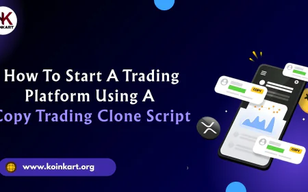 How to Start a Trading Platform Using a Copy Trading Clone Script