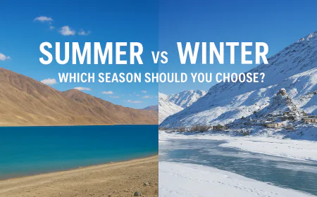 Summer vs Winter in Ladakh: Which Season Should You Choose?