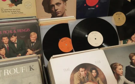 The Musical World of Studio Ghibli: A Complete Joe Hisaishi Vinyl Guide