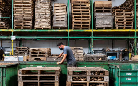 Stop Searching: ISPM-15 Certified Pallets & Custom Builds are Here