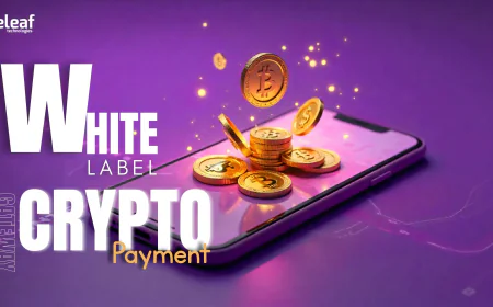 Why Crypto Payments Matter for Your Business and How a White-Label Gateway Supports You