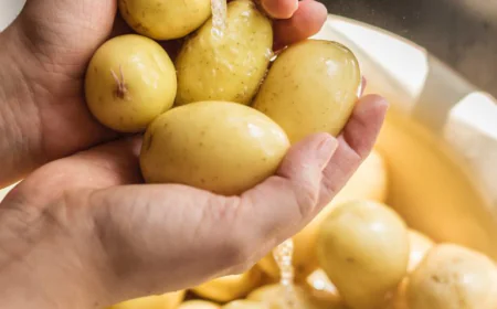 Top Potato Suppliers in Pennsylvania for Year-Round Delivery