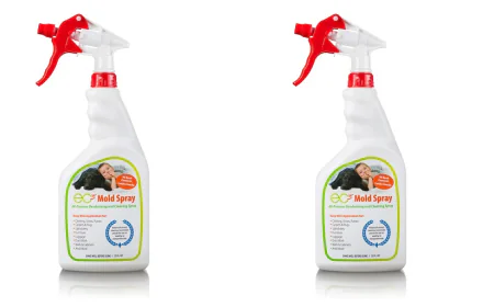 Why a Specialized Mold Treatment Spray Is Better Than Any DIY Solution