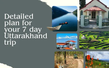 Your Perfect 7-Day Winter Uttarakhand Trip from Delhi with MWT Tempo Traveller