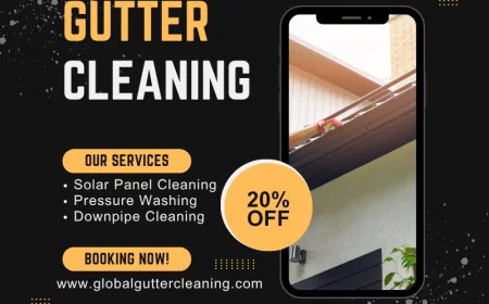 The Importance of Professional Gutter Cleaning in Altona Meadows Homes