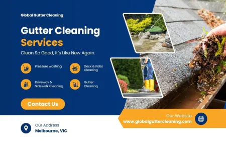 Expert Tips for Effective and Safe Gutter Cleaning in Ormond