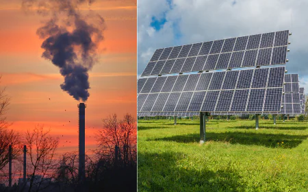 Cost Savings with Industrial Solar Panels: Real Case Studies & ROI