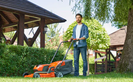 Professional Landscaping Contractors for Outdoor Success