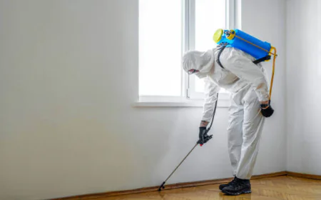 How Can I Choose the Right Pest Control Service in Surrey?