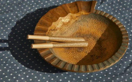 Ontario’s Finest Pre Rolls: A 2025 Guide for Quality and Experience