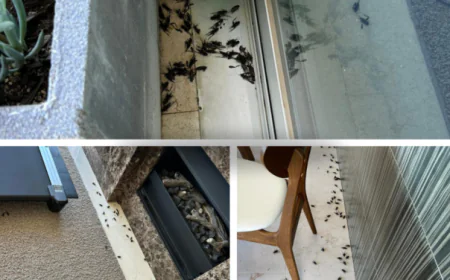 Say Goodbye to Pests – Choose Safe Protection That Lasts