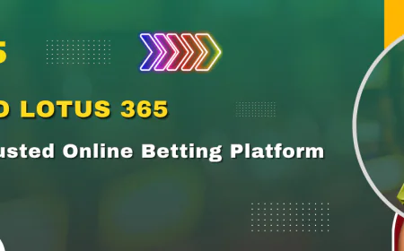 Lotus Bet Guide: Insights, Safety Factors, and Key Information