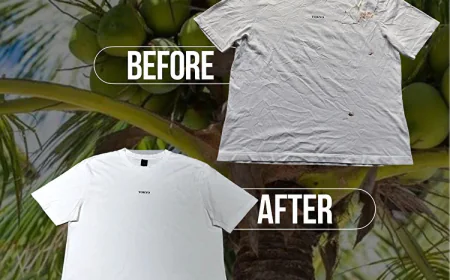 The Cost of Laundry Services: Are They Worth It?