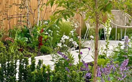 Looking for expert paving contractors in Cheshire, Sandbach, or Crewe? We provide professional driveway and patio paving with high-quality materials and workmanship.