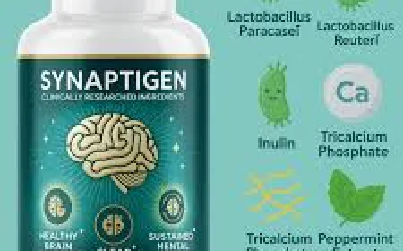 Synaptigen Supplement – Cognitive Support for Sharp Brain Health