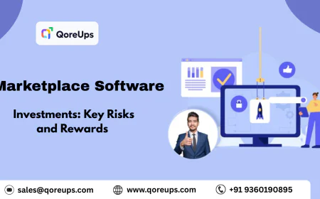 Marketplace Software Investments: Key Risks and Rewards