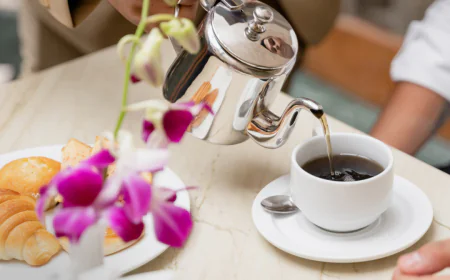 Looking for the Perfect Resort in Chail? Comfort Meets Cedar Forests