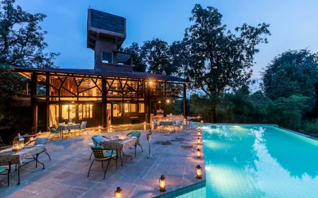 How to Plan a Family Trip to Pench National Park