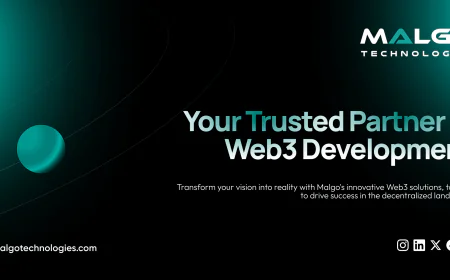 Web3 Development Company Helping Brands Transition Into Web3 Smoothly