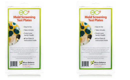 Recognizing Mold Toxicity