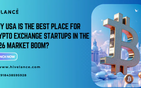 Why the USA Is the Best Place to Launch Your Crypto Exchange in 2026