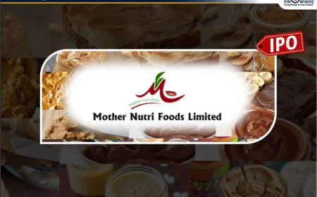 Mother Nutri Foods IPO GMP Today – Finowings