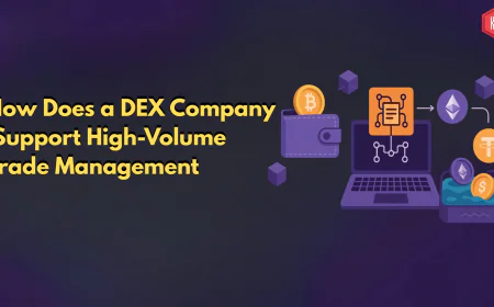 How Does a DEX Company Support High-Volume Trade Management?
