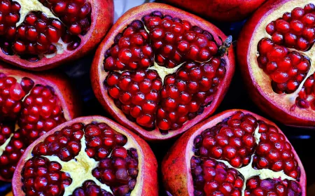 Pomegranate Processing Plant Project Report 2025 | Unit Operations, Business Plan and Cost Analysis